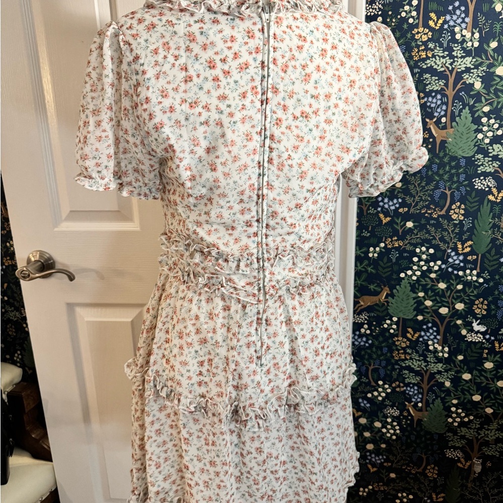 Trixxi Pink Floral Ruffle Mini Dress - Picture 4 of 5